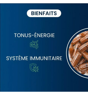 Multivitamines Multi 27 – 27 Nutriments Essentiels pour Énergie & Immunité | Complément Vegan | Dynveo