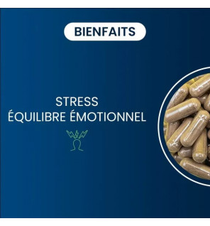 Stress8 – 8 Actifs Naturels pour Réduire le Stress & Favoriser la Relaxation | Complément Vegan | Dynveo