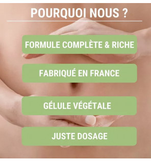 Formule Digestion – Transit Intestinal & Détox Colon avec Fenouil, Anis & Charbon Actif | Complément Naturel | Laboratoires Enov