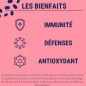 Formule Immunité – Multivitamines & Phyto-Complexe Formule Immunité – Multivitamines & Phyto-Complexe