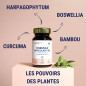 Formule Articulations – Souplesse & Mobilité Formule Articulations – Souplesse & Mobilité