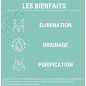 Formule Détox – Drainage & Élimination Naturelle Formule Détox – Drainage & Élimination Naturelle