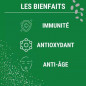 Glutathion Réduit à 98% + NAC Glutathion Réduit à 98% + NAC