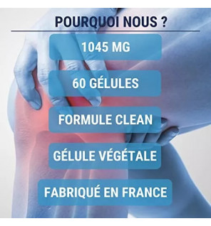 Glucosamine & Chondroïtine – Mobilité & Articulations