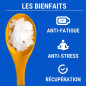 Magnésium Marin & Vitamine B6 – Anti-Stress & Énergie Magnésium Marin & Vitamine B6 – Anti-Stress & Énergie
