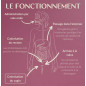 Probiotique Flore Intime - 60 gélules - Laboratoires Enova - Équilibre & Confort Probiotique Flore Intime - 60 gélules - Laboratoires Enova - Équilibre & Confort