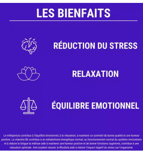 Formule Zen - 60 gélules | Anti-Stress & Relaxation | Laboratoires Enova