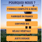 Formule Boost BIO 4G - 60 gélules - Laboratoires Enova - Énergie & Immunité Formule Boost BIO 4G - 60 gélules - Laboratoires Enova - Énergie & Immunité