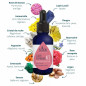 Sérum Bio Élixir Botanique N°3 Jouvence Anti-Âge Régénération & Fermeté Sérum Bio Élixir Botanique N°3 Jouvence Anti-Âge Régénération & Fermeté