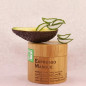 Espresso Masque - Masque Hydratant Anti-Âge aux Extraits de Café Bio - 150 ml - Le Caracoli Espresso Masque - Masque Hydratant Anti-Âge aux Extraits de Café Bio - 150 ml - Le Caracoli