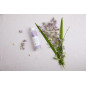 La Rosée Nocturne Lotion Purifiante Exfoliante La Rosée Nocturne Lotion Purifiante Exfoliante