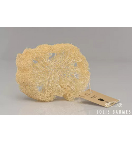 Loofah Exfoliant Naturel – Zéro Déchet, Peau Douce & Soin Corporel Écologique