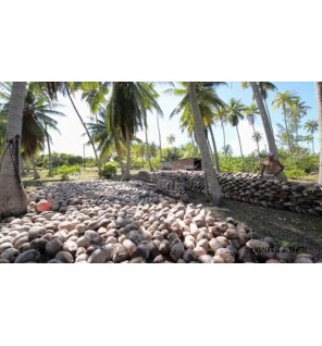 Monoï de Tahiti Coco – Huile Soin 150 ml | Naturado Appellation d’Origine
