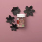myVeggie Reishi BIO myVeggie Reishi BIO